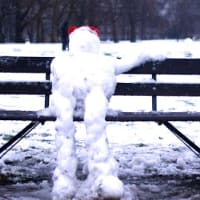 Where Did the Snow Go? Climate Change in New England thumbnail