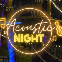 Friday Night Lights: Acoustic Live Band thumbnail