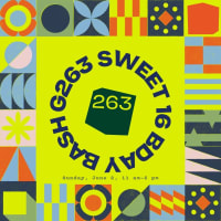 G263 Sweet 16 Bday Bash thumbnail