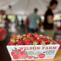 Strawberry Festival thumbnail