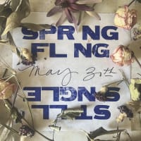 Spring Fling / a social event for singles in their 30s and 40s thumbnail