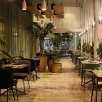 Clase Azul Tasting Dinner at Vela Seaport thumbnail