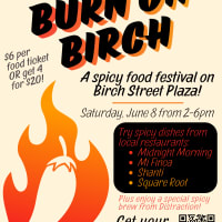 Burn on Birch thumbnail