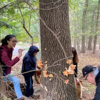 Foraging Walk & Picnic by Hoamsy thumbnail