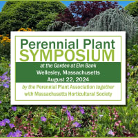 Perennial Plant Symposium at the Garden at Elm Bank thumbnail