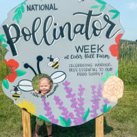 Pollinator Festival at Cider Hill Farm thumbnail