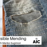 Visible Mending  thumbnail