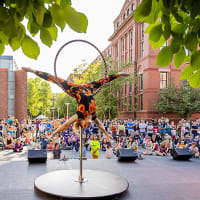 Summer Solstice Celebration: Night at the Harvard Museums of Science & Culture thumbnail