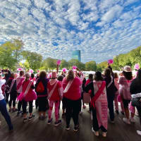 Paint the Square Pink thumbnail