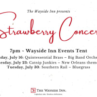 Strawberry Concerts thumbnail