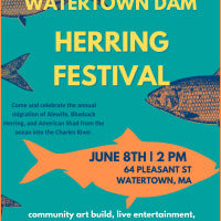 Herring Festival thumbnail