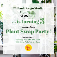 Wesleaf’s Plant Swap Party! thumbnail
