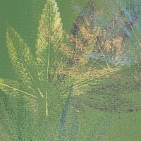 Leaf Printing Party thumbnail