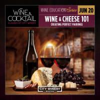 Wine & Cheese Pairing 101 with Adam Centamore thumbnail