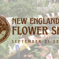 New England Fall Flower Show thumbnail