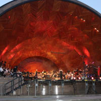 New England Film Orchestra at DCR Hatch Shell thumbnail