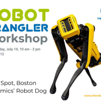 Robot Wrangler Workshop (Grades 9-12) thumbnail