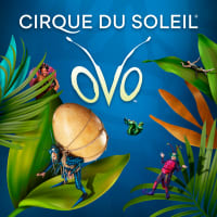 CIRQUE DU SOLEIL PRESENTS: OVO thumbnail