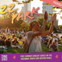NEMPAC's Jazz in the Park thumbnail