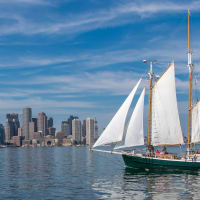 Boston Harbor Day Sailing Cruise thumbnail