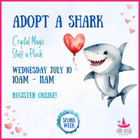 Adopt a Shark thumbnail