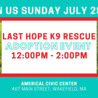 LHK9 Adoption Event at ACC Wakefield! thumbnail