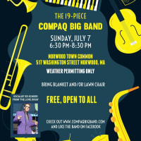 19-Piece Compaq Big Band w/ Vocalist Ed Scheer from Boston's 'The Love Dogs' Featured at FREE Norwood 'Concerts On The Common' thumbnail