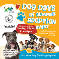 Dog Days of Summer Adoption Event thumbnail