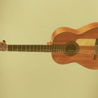 Hyde Park Summer Concert Series thumbnail