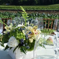 Dinner In The Field  thumbnail