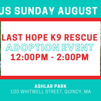 LHK9 Adoption Event at Ashlar Park Quincy! thumbnail