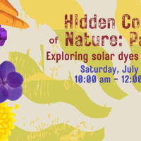 Hidden Colors of Nature: Plant Dyes and Storytelling Part 1 - Exploring Solar Dyes with Plants thumbnail