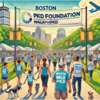 Boston Walk For PKD thumbnail