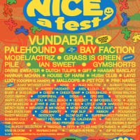 NICE, a fest - a 4 Day local music and arts festival in Davis Square!  thumbnail