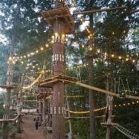 Glow in the Park: High ropes & zip-line | Canton, MA thumbnail
