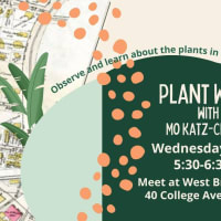 Plant Walk with Mo Katz-Christy: At West Branch Library thumbnail