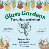 Build Your Own Terrarium  thumbnail