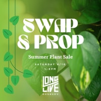 Swap & Prop // Tropical Plant and Accessories Sale thumbnail