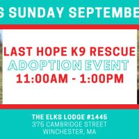 LHK9 Adoption Event at The Elks Winchester!! thumbnail