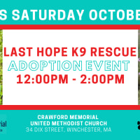 LHK9 Adoption Event at Crawford Memorial United Methodist Church! thumbnail
