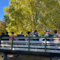 Farm Days at Appleton Farms thumbnail