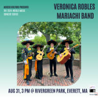 Access Culture's Free Outdoor Concerts thumbnail
