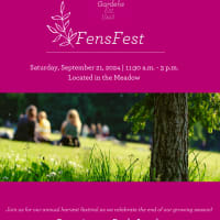 Fens Fest at the Fenway Victory Gardens feat. The New Wright Brothers thumbnail