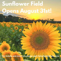 Sunflower Festival at Felix's Family Farm thumbnail