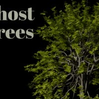 Art Reception and Talk: Ghost Trees thumbnail