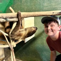Teen Zoology Class thumbnail