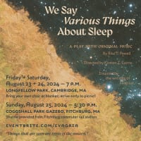 'We Say Various Things About Sleep' - play with music thumbnail