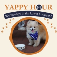 YAPPY HOUR at The Charles! thumbnail