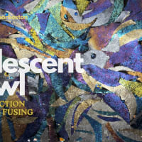 Iridescent Bowl, Intro to Glass Fusing thumbnail