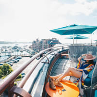 End of Summer Celebration on Marriott Long Wharf Terrace thumbnail